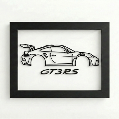 Cuadro GT3 RS